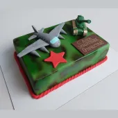 Торт с военным самолетом