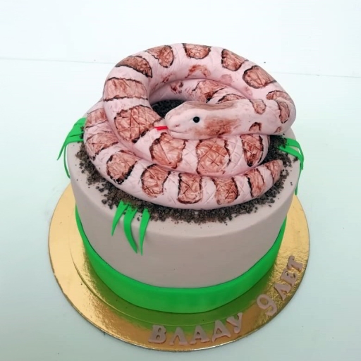 Торт «Змея Скарапея» с орехами и шоколадом
